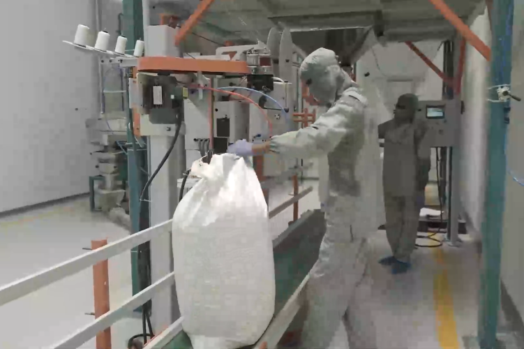 Screenshot 2025-10-14 175053